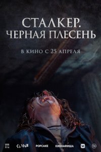  Сталкер. Черная плесень  смотреть онлайн